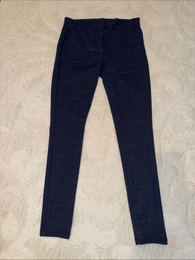LOFT Navy Blue with White Skinny Pants